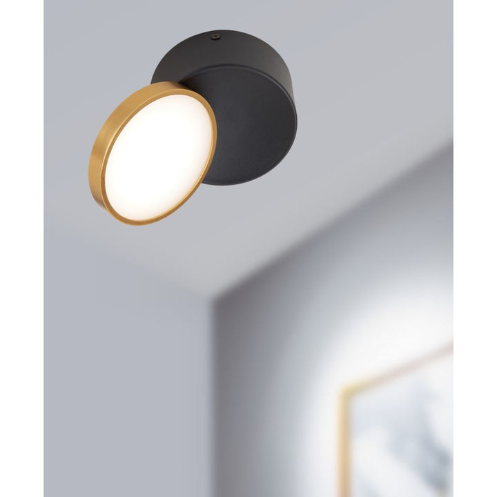 Telbix NETRA - 15W LED Tri-Colour Tiltable Surface Mount Downlight-Telbix-Ozlighting.com.au