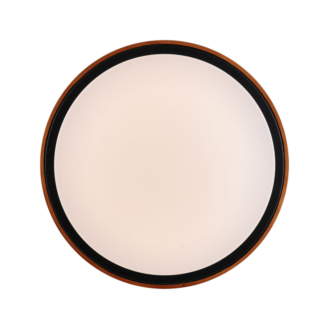 Telbix ORLIN - 12W LED Oyster Light-Telbix-Ozlighting.com.au