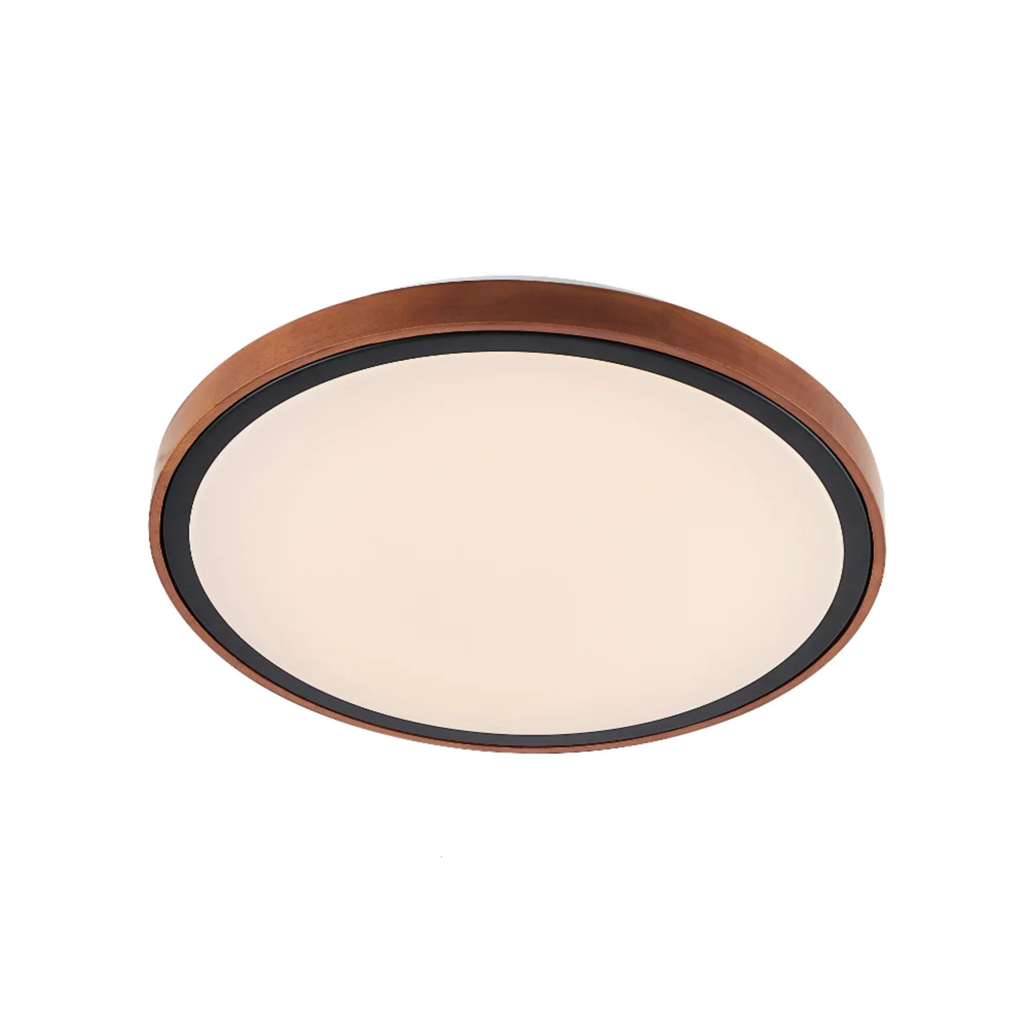 Telbix ORLIN - 12W LED Oyster Light-Telbix-Ozlighting.com.au