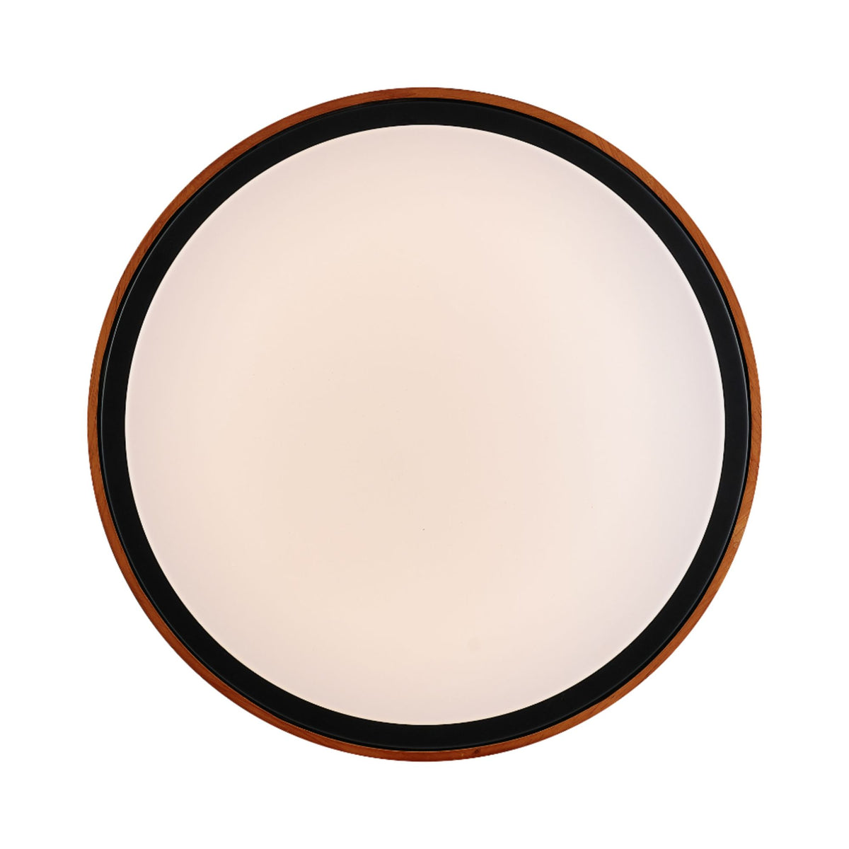 Telbix ORLIN LED Oyster Ceiling Light - 24W-Telbix-Ozlighting.com.au