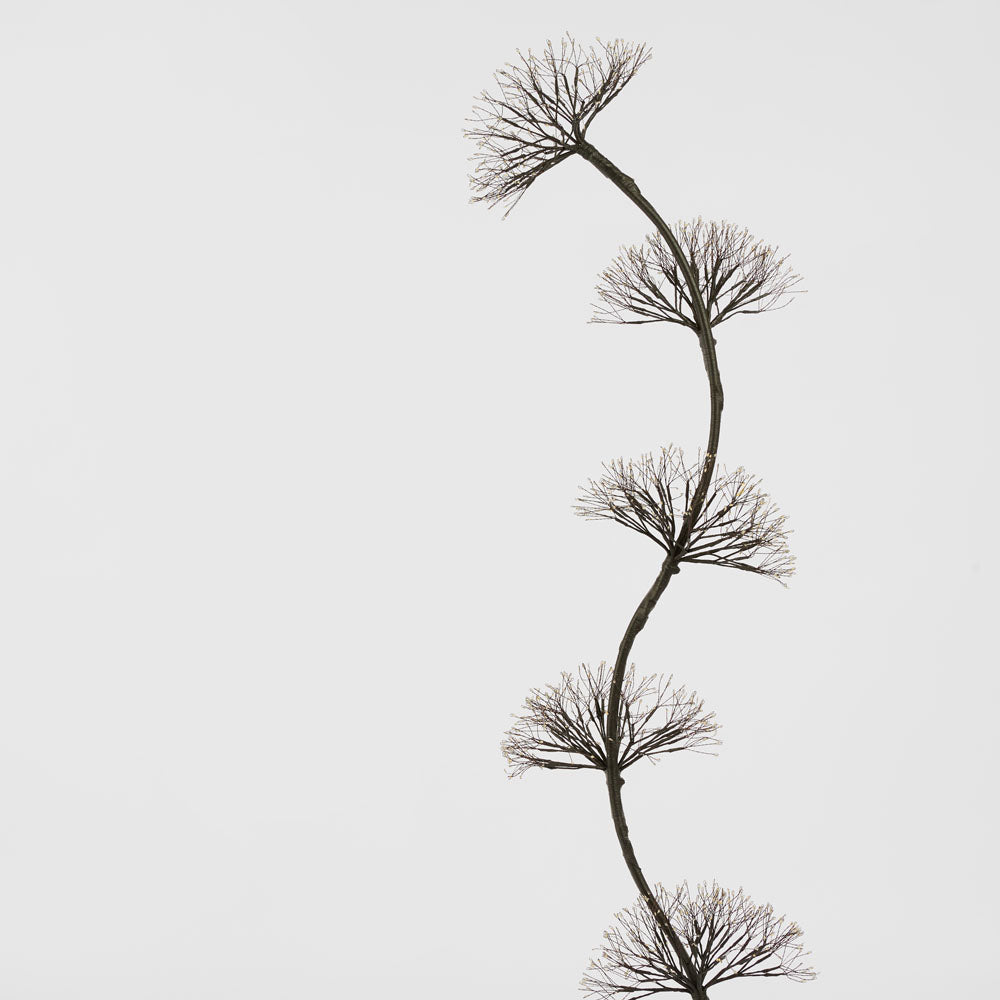 Vixen & Velvet FLEUR LUMIÈRE Multi Dandelion Light 150cm - Warm White-VIXEN & VELVET-Ozlighting.com.au