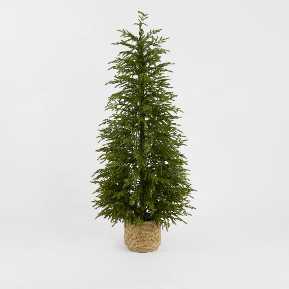 Vixen & Velvet Touch Light-Up Tree - Soft- Potted, with Basket 150cm-VIXEN & VELVET-Ozlighting.com.au