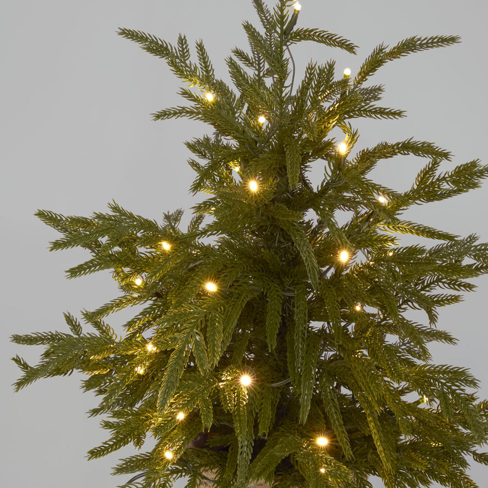 Vixen & Velvet Touch Light-Up Tree - Soft- Potted, with Basket 60cm-VIXEN & VELVET-Ozlighting.com.au