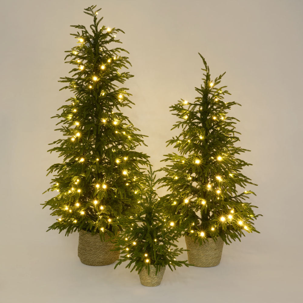 Vixen & Velvet Touch Light-Up Tree - Soft- Potted, with Basket 60cm-VIXEN & VELVET-Ozlighting.com.au