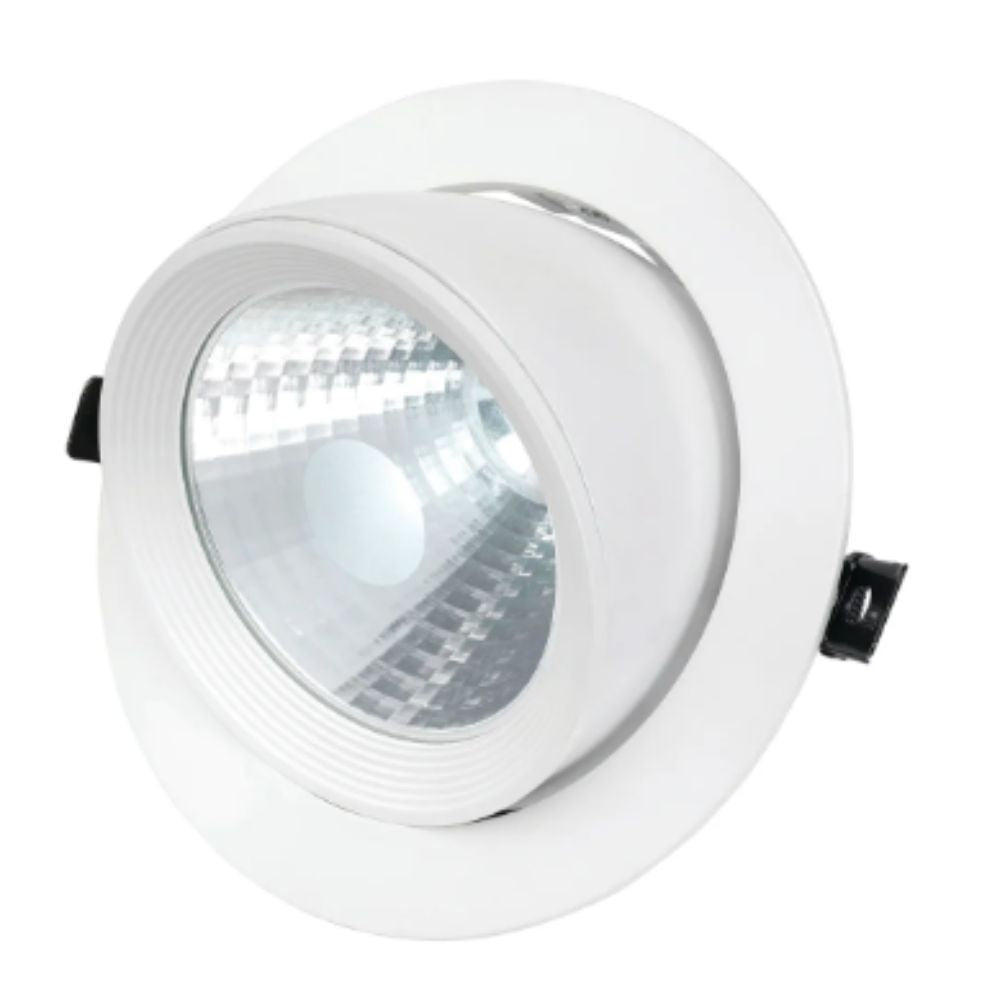 Brilliant GRIFFIN LED Snorkel Scoop - 30W, Tri-Colour, Dimmable, Adjustable Commercial Shop Light IP20-Brilliant Lighting-Ozlighting.com.au