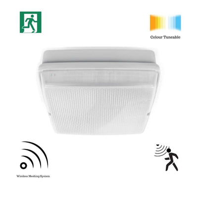 Ektor QUADRO-PRO-CT-EM-LK - 27W Lynk LED Tuneable Emergency Bunker Ceiling Light With Optional Sensor IP65-Ektor Lighting-Ozlighting.com.au