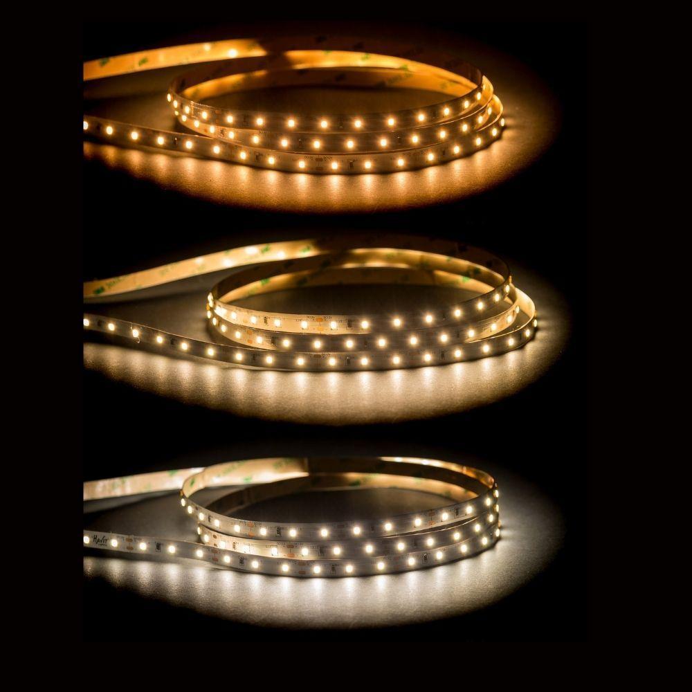Havit STRIP-14.4 LED Strip - 14.4W, 12V, 10mm, Per Metre, IP20 - DRIVER REQUIRED-Havit Lighting-Ozlighting.com.au