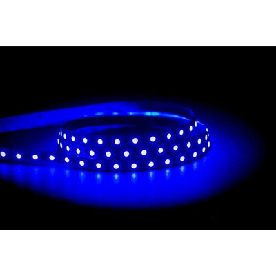 Havit STRIP-14.4-RGB+WW-WP - 14.4W 12V 16mm 60 LED Strip Light Per Metre IP54/IP67 RGB+WW - 12V DRIVER REQUIRED-Havit Lighting-Ozlighting.com.au