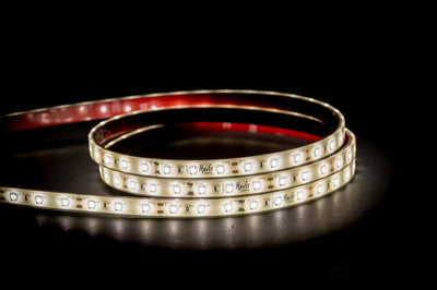 Havit STRIP-14.4-WP - 14.4W 12V 12mm 60 LED Strip Light IP54/IP67 Per Metre 3000/4000/5000K - 12V DRIVER REQUIRED-Havit Lighting-Ozlighting.com.au