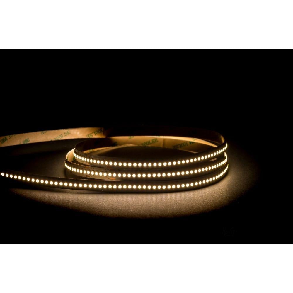 Havit STRIP-19.2 - 19.2W 24V 10mm 240 LED Strip Light Per Metre IP20 - 24V DRIVER REQUIRED-Havit Lighting-Ozlighting.com.au