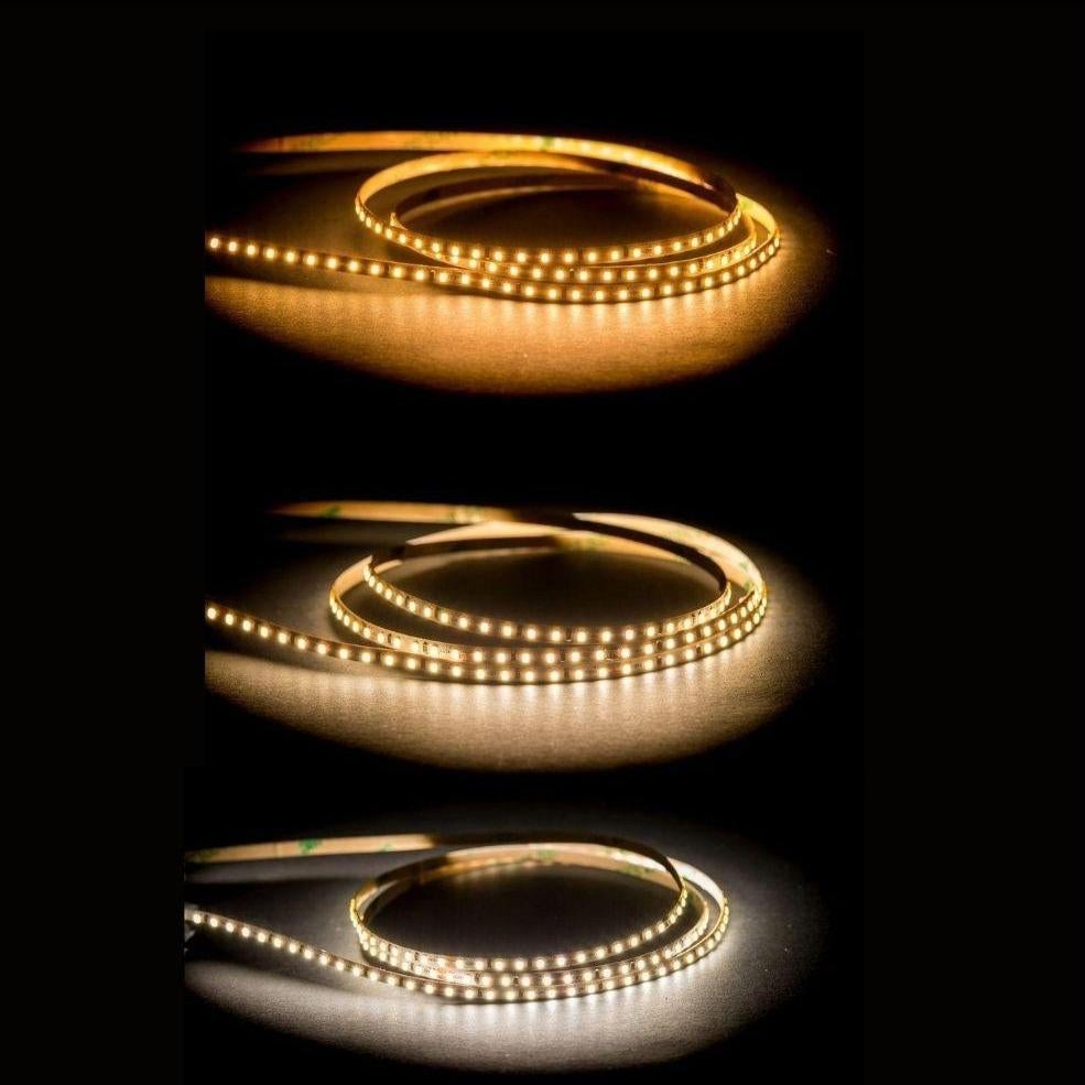 Havit STRIP-19.2-MICRO LED Strip - 19.2W, 24V, 4mm, Per Metre, IP20 - DRIVER REQUIRED-Havit Lighting-Ozlighting.com.au