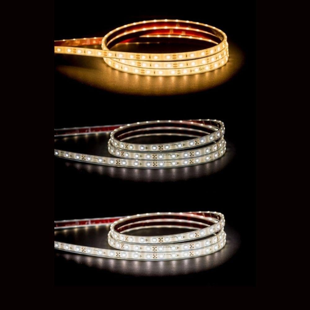 Havit STRIP-4.8-WP - 4.8W 12V 12mm 60 LED Weatherproof Strip Light 20 meter Roll IP67 - 12V DRIVER REQUIRED-Havit Lighting-Ozlighting.com.au