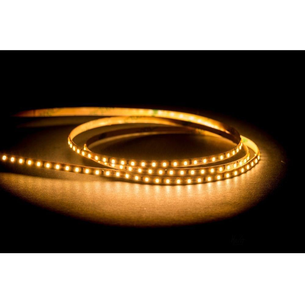 Havit STRIP-9.6-MICRO LED Strip - 9.6W, 24V, 4mm, Per Metre, IP20 - DRIVER REQUIRED-Havit Lighting-Ozlighting.com.au