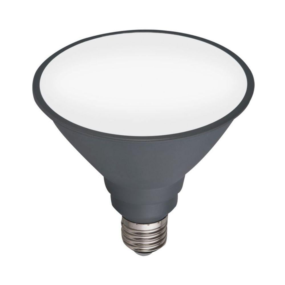 Mercator GLOBE-PAR38 - 12W LED Non-Dimmable PAR38 Reflector Globe IP44 - E27-Mercator-Ozlighting.com.au