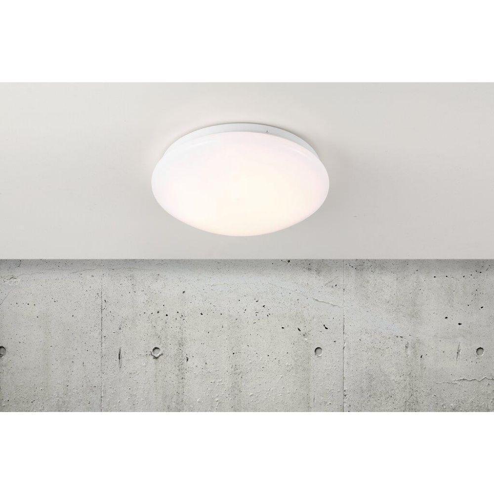 Nordlux MANI Oyster Light-Nordlux-Ozlighting.com.au