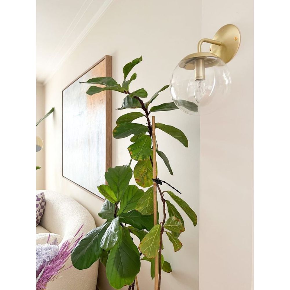 Oriel NEWTON Wall Light - 1 Light Glass Interior, Matt Black-Oriel Lighting-Ozlighting.com.au